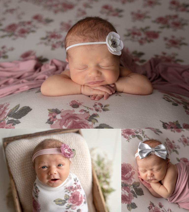 newborn photographers near Cologne, MN